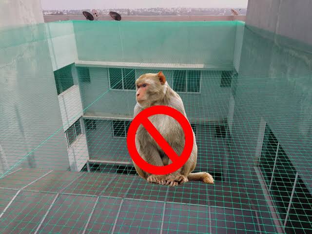 Monkey Safety Nets Bangalore