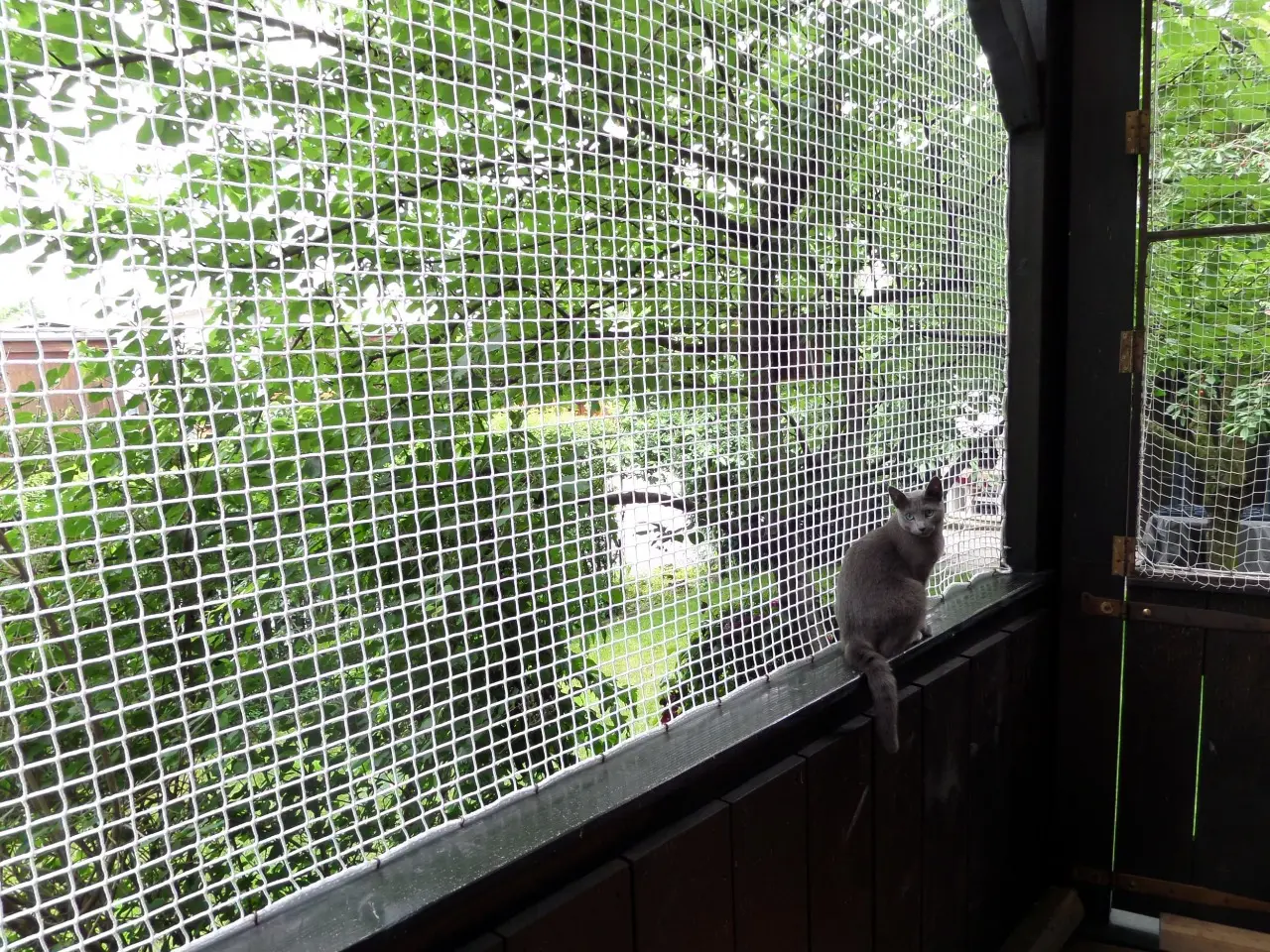 Pet safety net installation Bangalore - Swathi Safety Nets