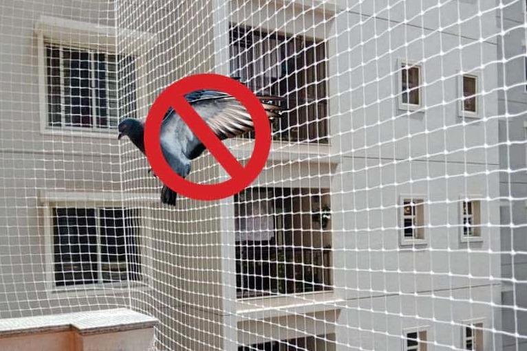 Pigeon safety net installation Bangalore - Swathi Safety Nets