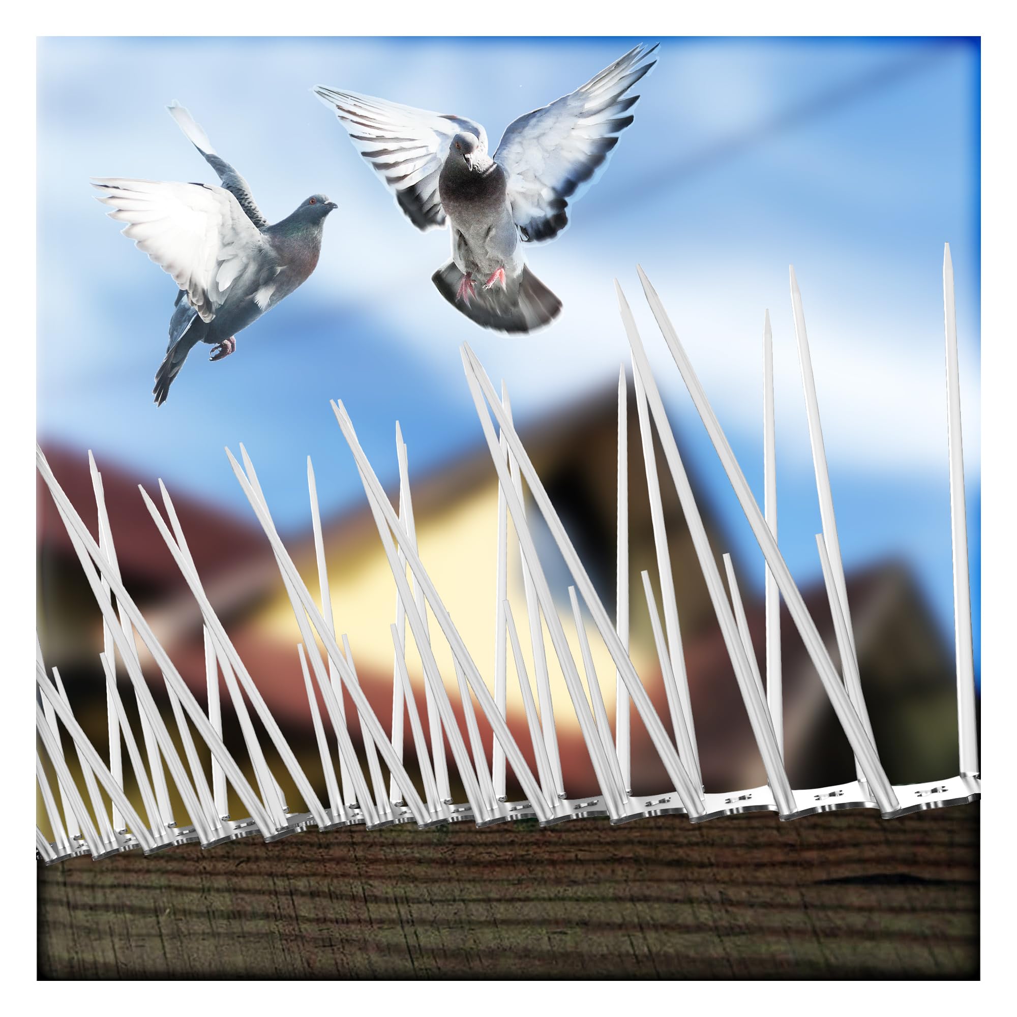 Pigeon Spikes